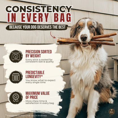 12 Inch Mega Monster Bully Stick (LIMITED)