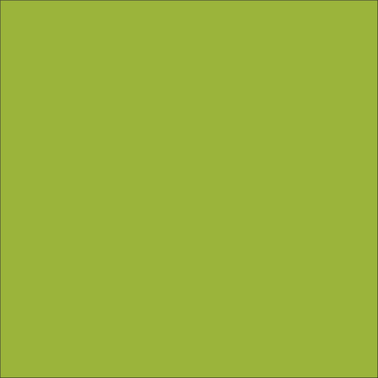 Craft Lime HTV Vinyl 12" x 4.5" sheets