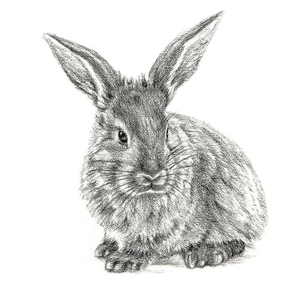 Cute Rabbit Profile - Black and White Nursery Wildlife Art Print