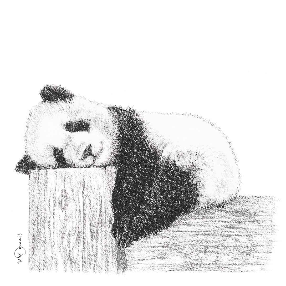 Cute sleeping Panda - Black and white art print