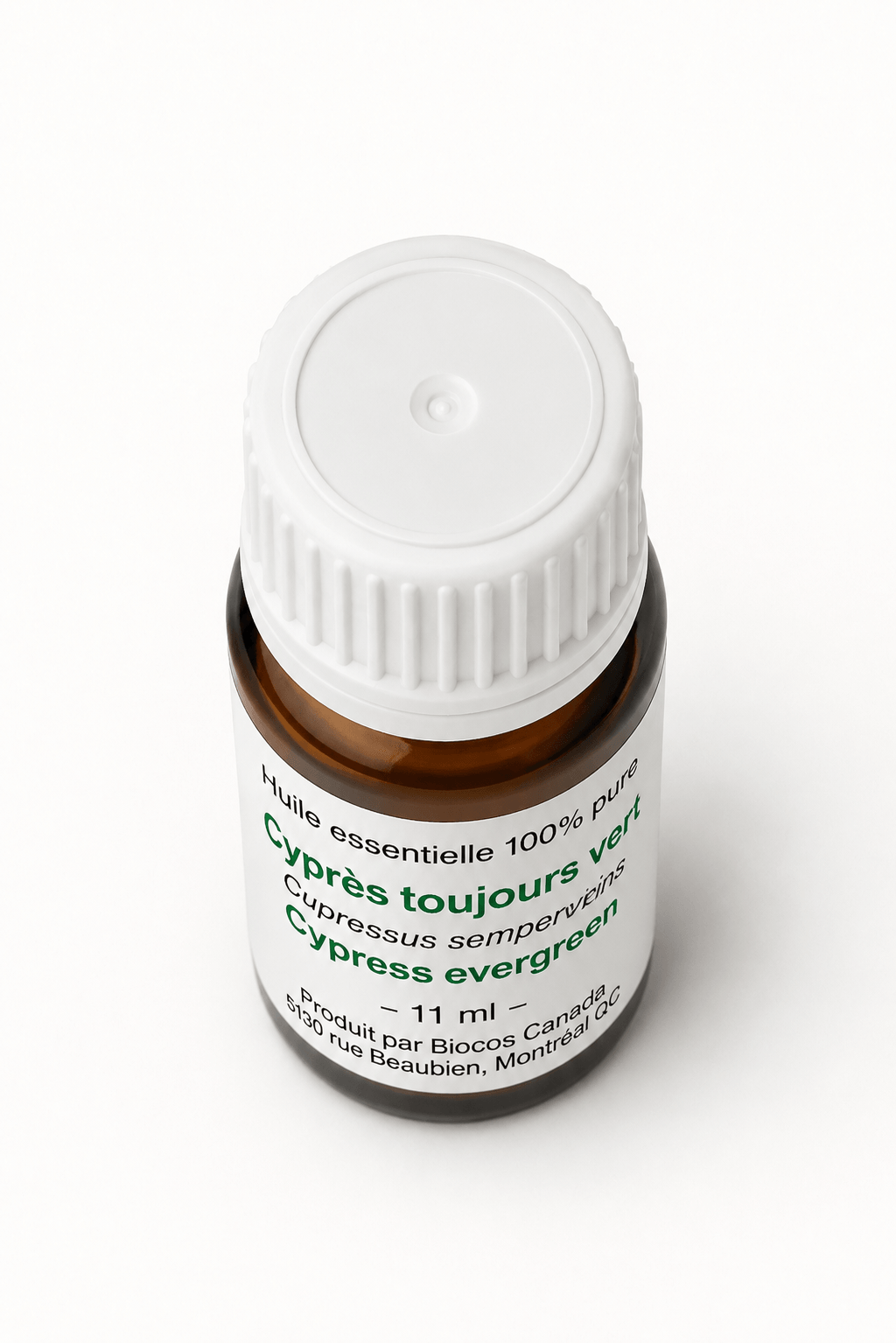 Cyprès toujours vert
