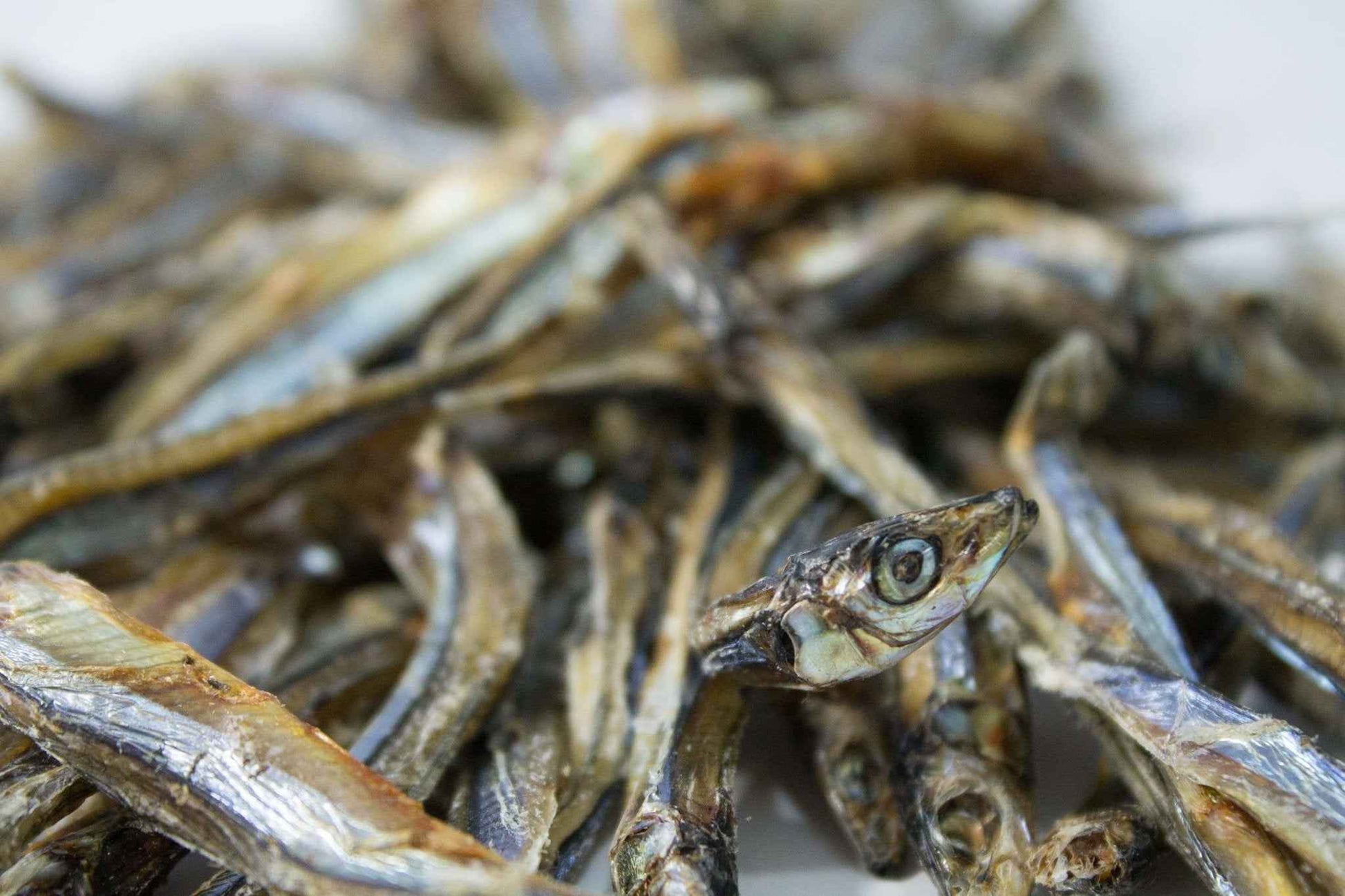 Dried Sardines 40g