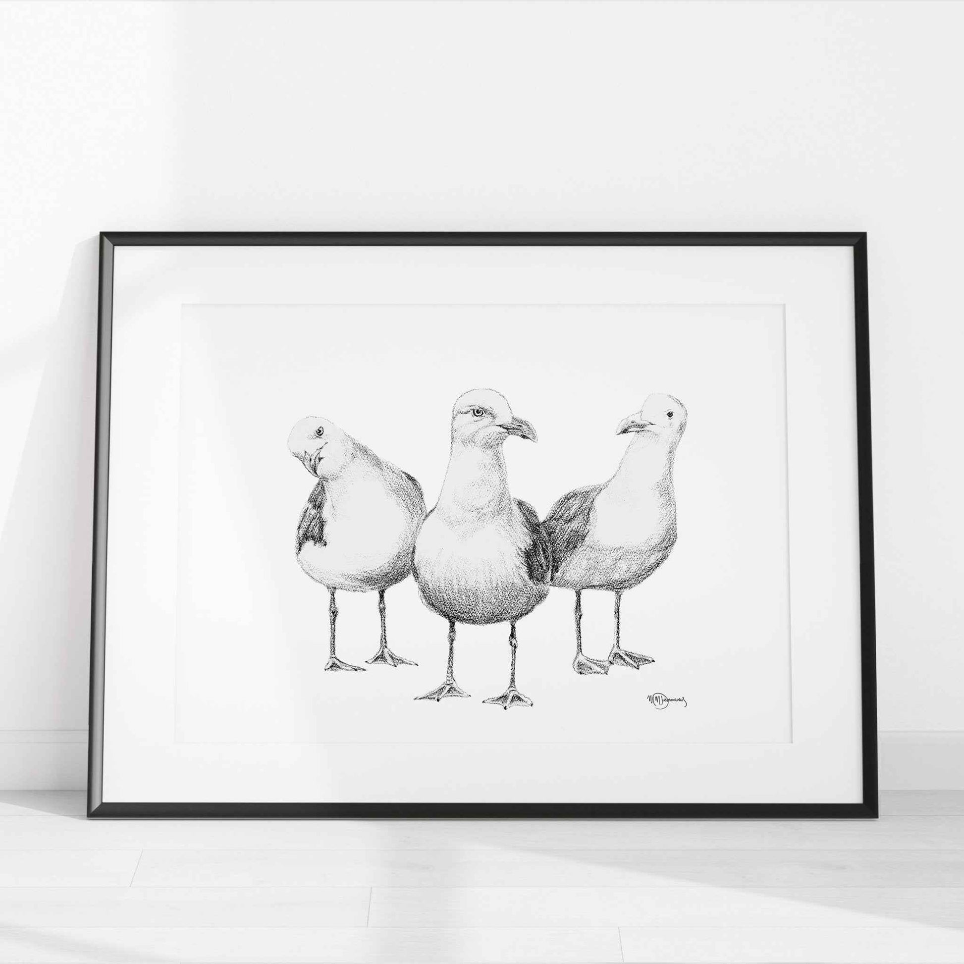 Funny Seagulls  - black and white animal art