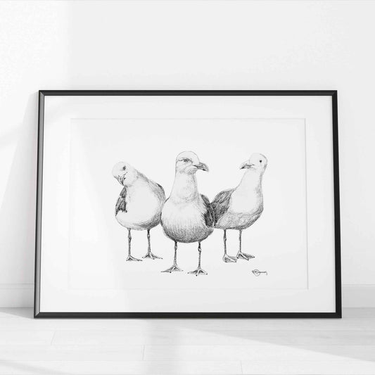 Funny Seagulls  - black and white animal art