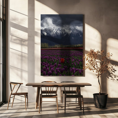 Wall art Tulip in Vancouver, Canada
