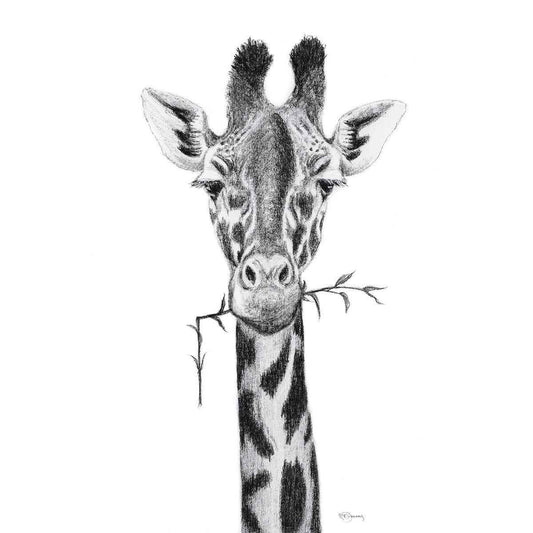 Giraffe Portrait - black and white safari art print