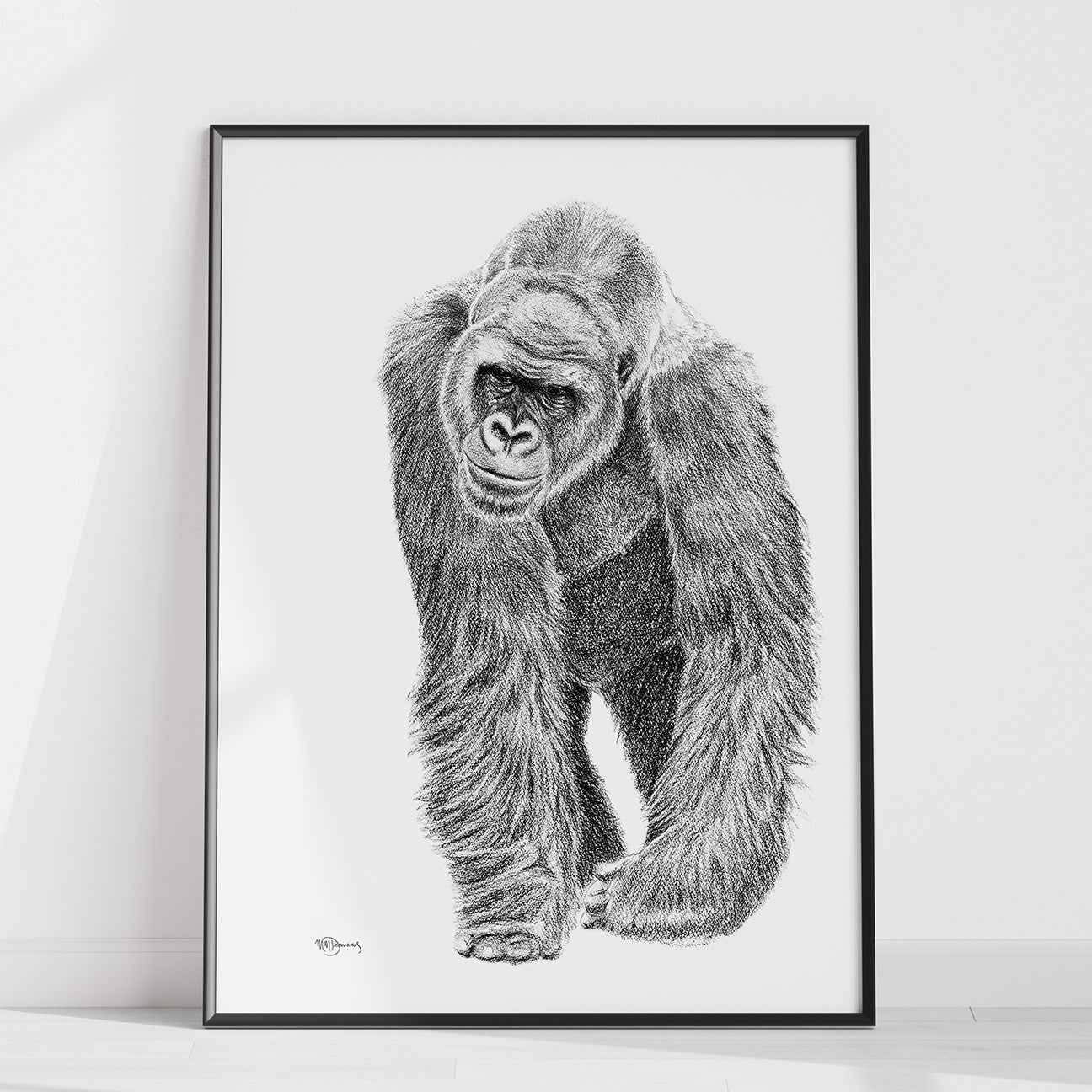Gorilla illustration - wildlife animal print - collaboration with La Fondation du Zoo de Granby