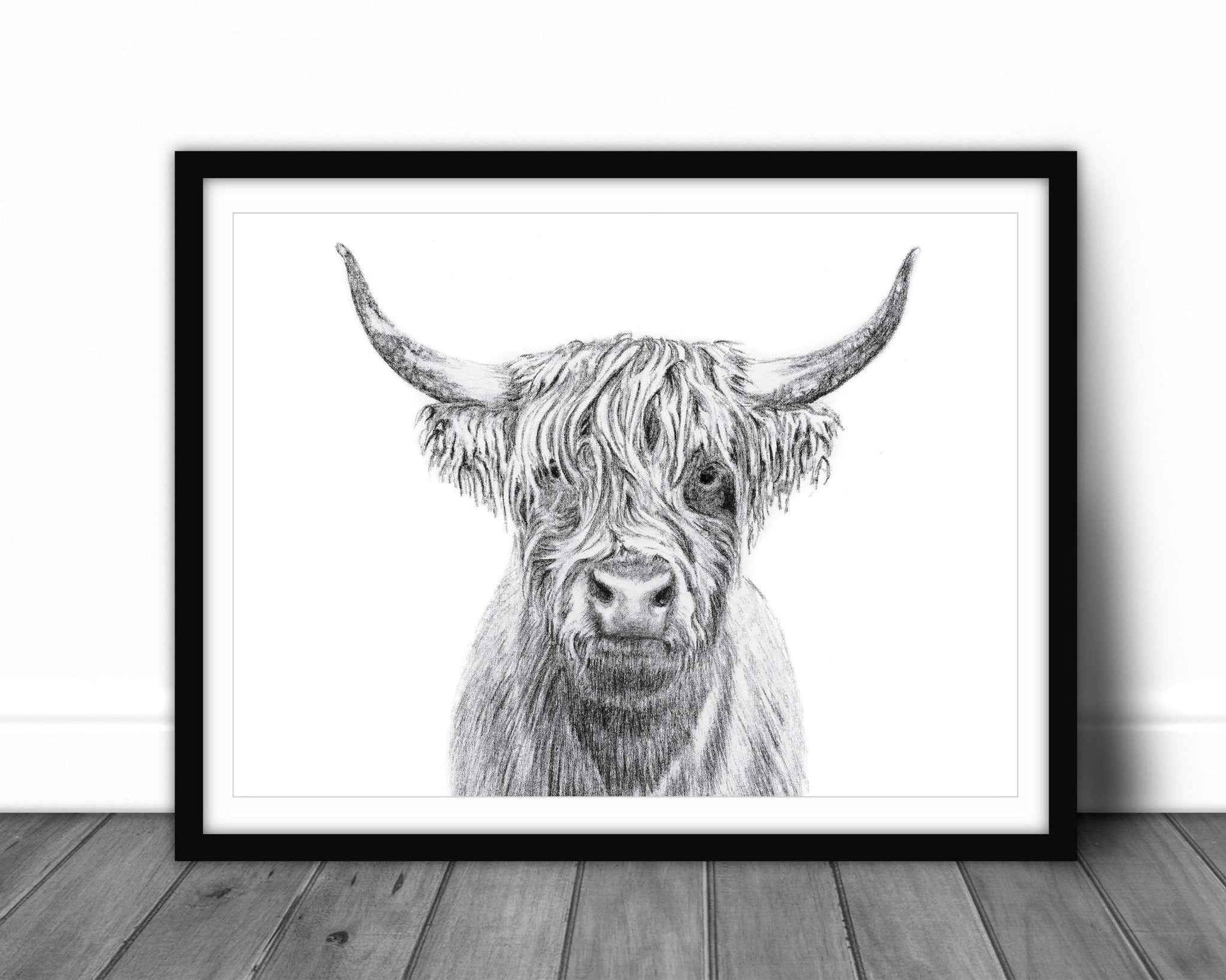 Highland Cow Portrait - art print