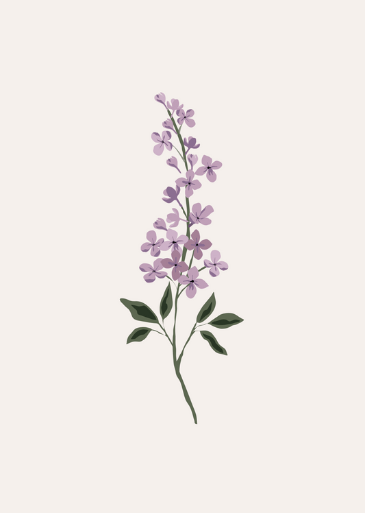 Lilas Flower Art Print