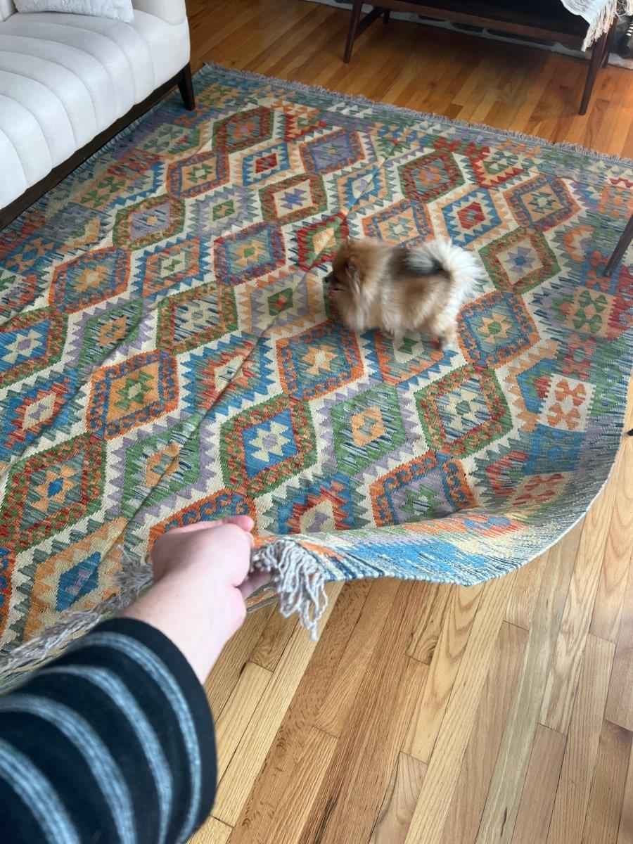 Maymana Kilim Rug | 9’ 6” x 6’ 10”
