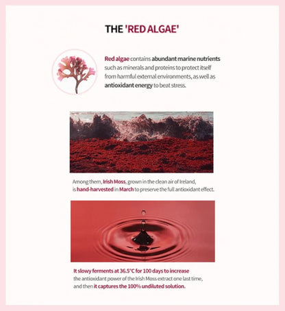 MISSHA Time Revolution Red Algae Revitalizing Cream 50ml