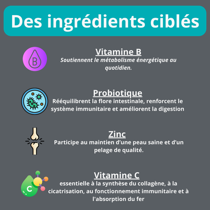Gâterie multivitamine pour chien
