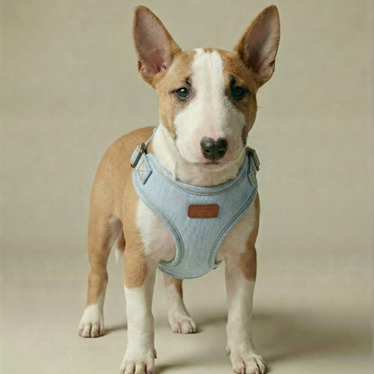 Denim Harness