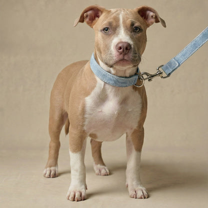 Denim Leash