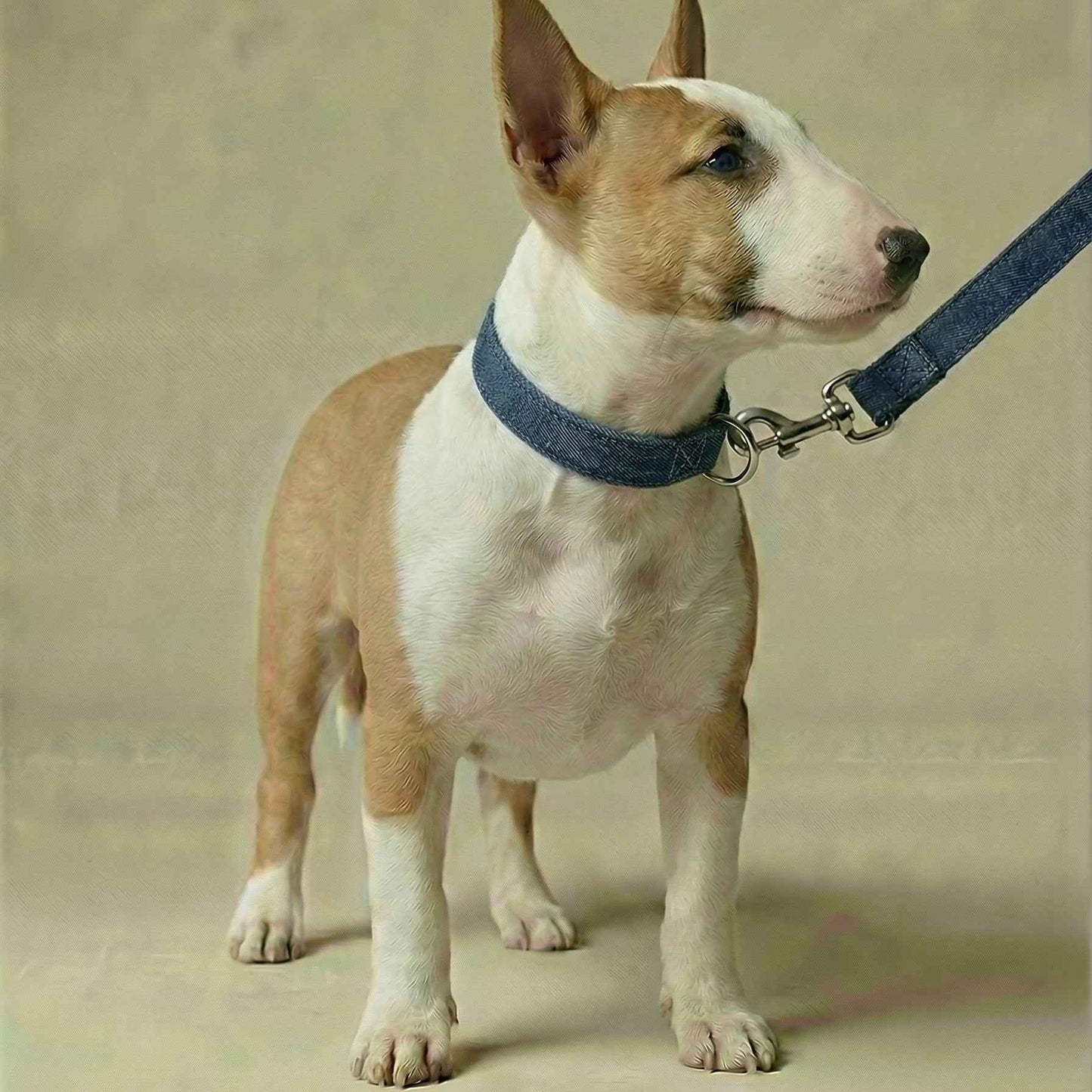 Denim Leash