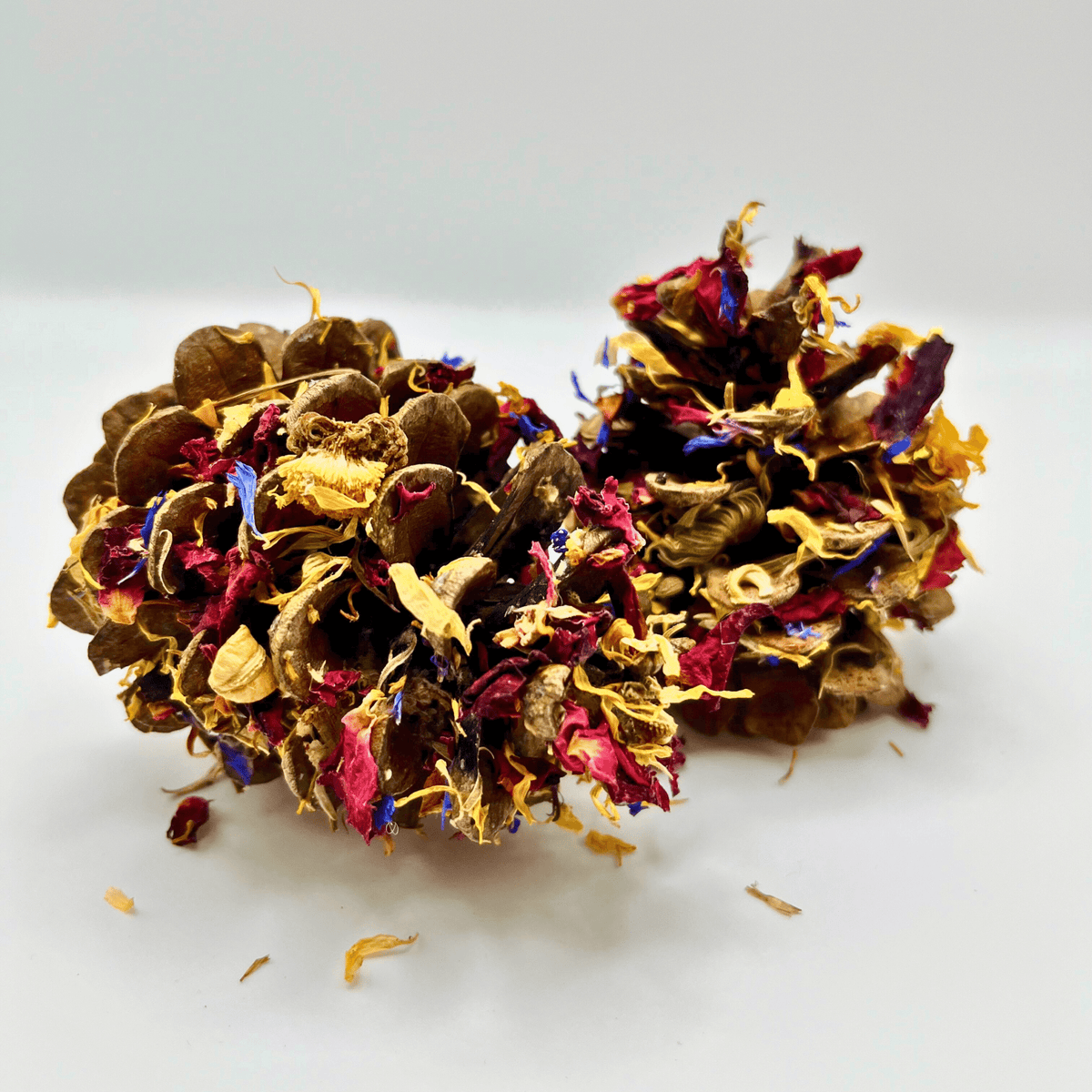 Floral-Dipped Pine Cones