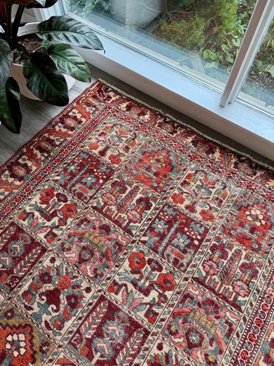 Perisan Bakhtiari Rug | 5' 1" x 9' 5"