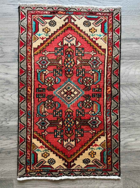 Persian Hamedan Rug | 1' 10" x 3' 1"