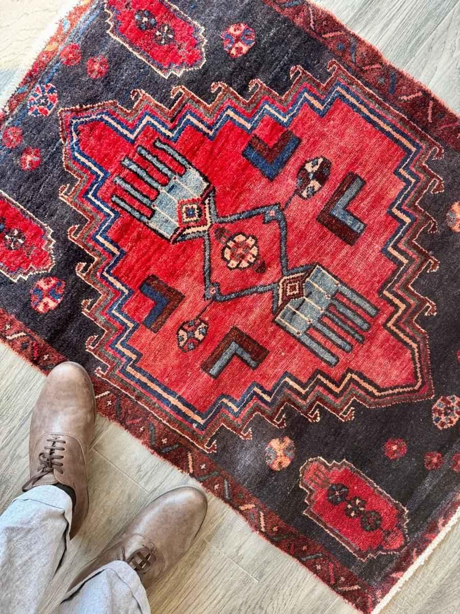 Persian Hamedan Rug | 2' 7" x 3’ 6”