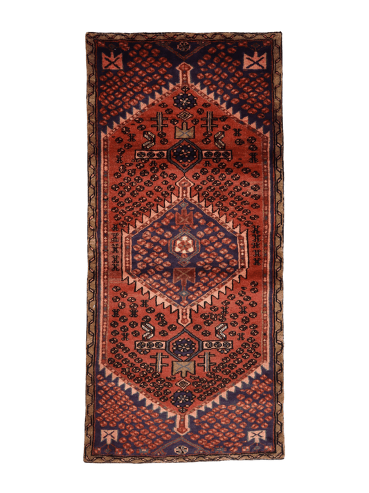 Persian Hamedan Rug | 2' 9” x 6'