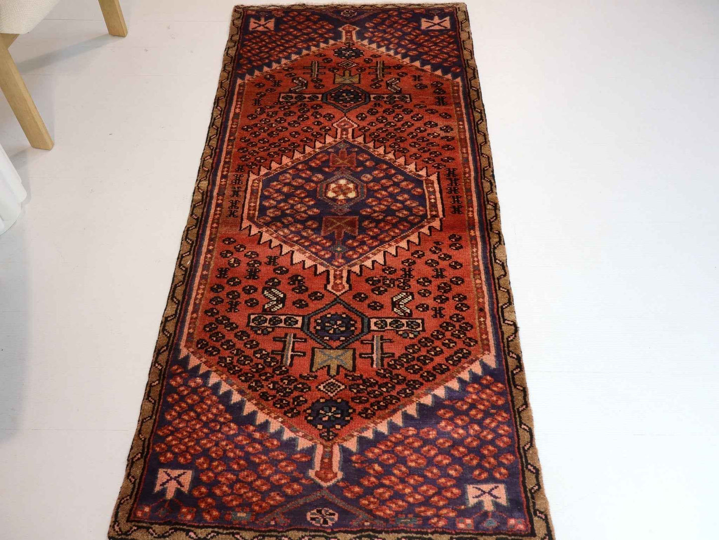 Persian Hamedan Rug | 2' 9” x 6'