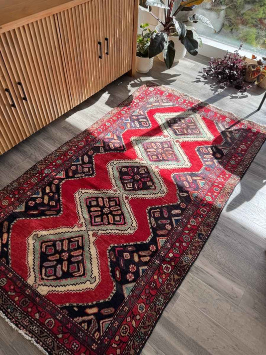 Persian Hamedan Rug | 3' 11" x 7' 1"
