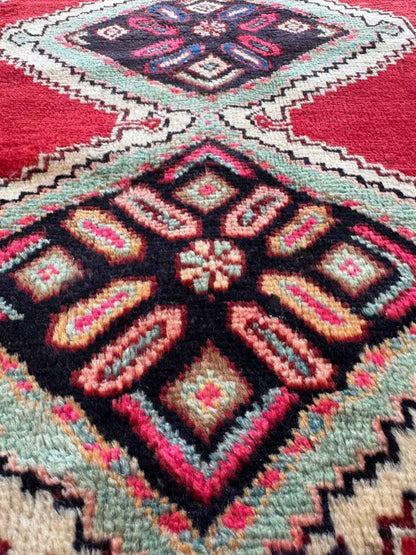 Persian Hamedan Rug | 3' 11" x 7' 1"