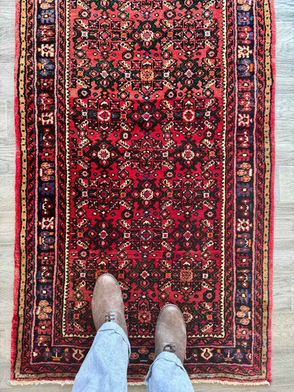 Persian Hossein Abad Runner Rug | 2' 11" x 9' 11"