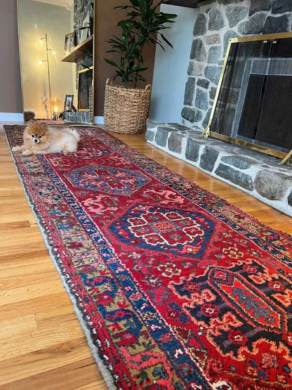 Persian Meshkin Runner | 10' 9" x 3' 2"