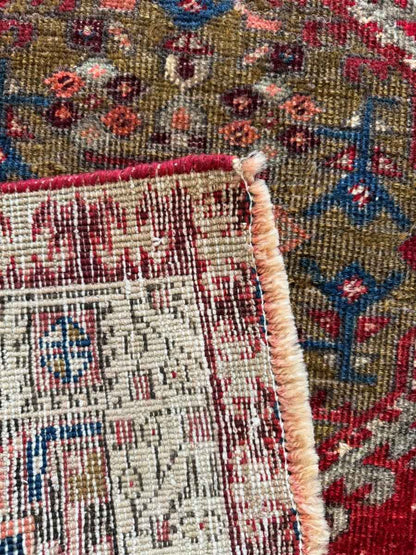 Persian Meshkin Runner Rug | 3' 3" x 7'