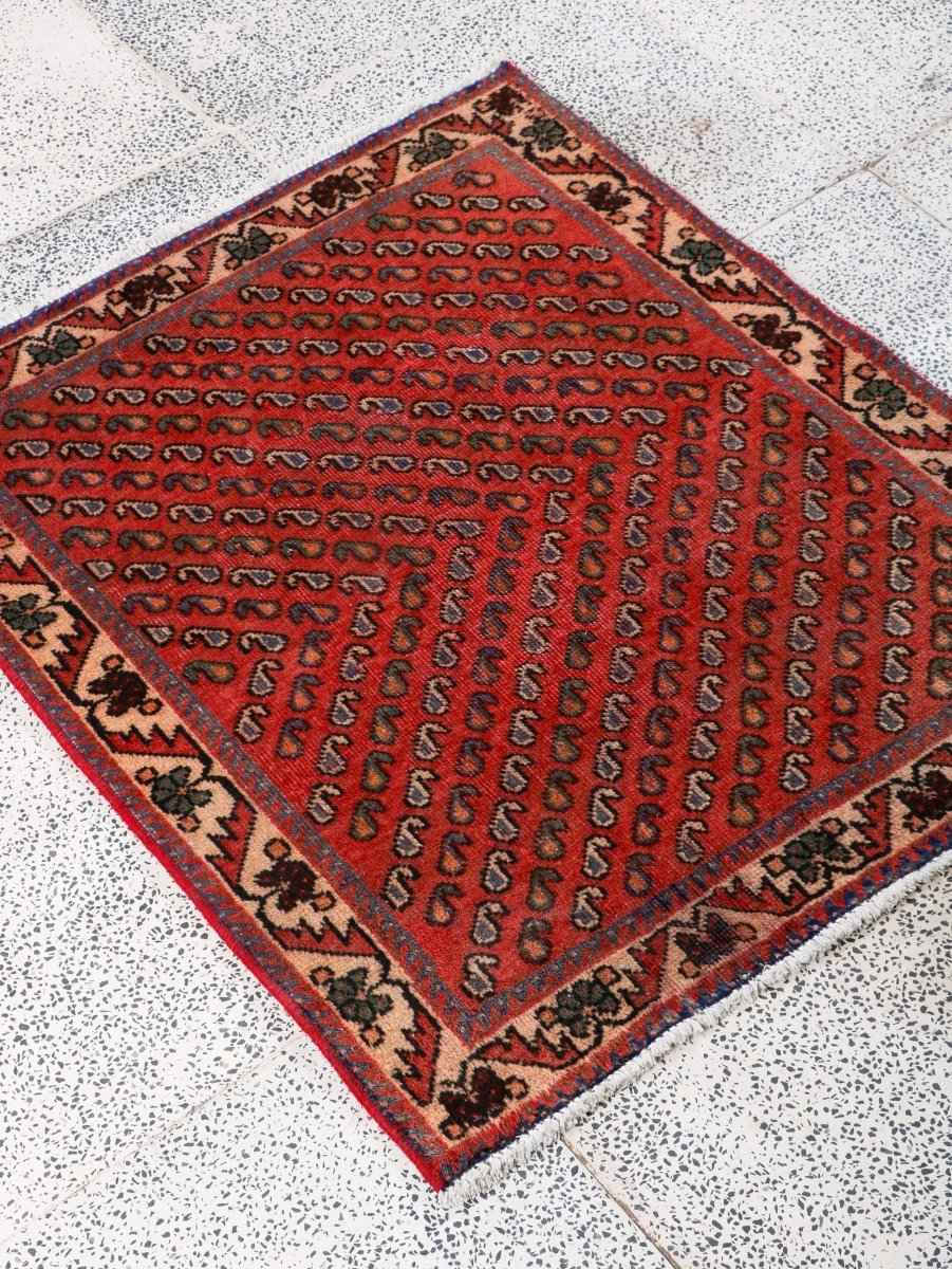 Persian Mir Arak Rug | 2' 5” x 2' 10"