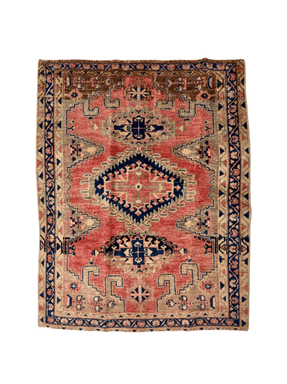 Persian Viss Rug | 4’ x 5'