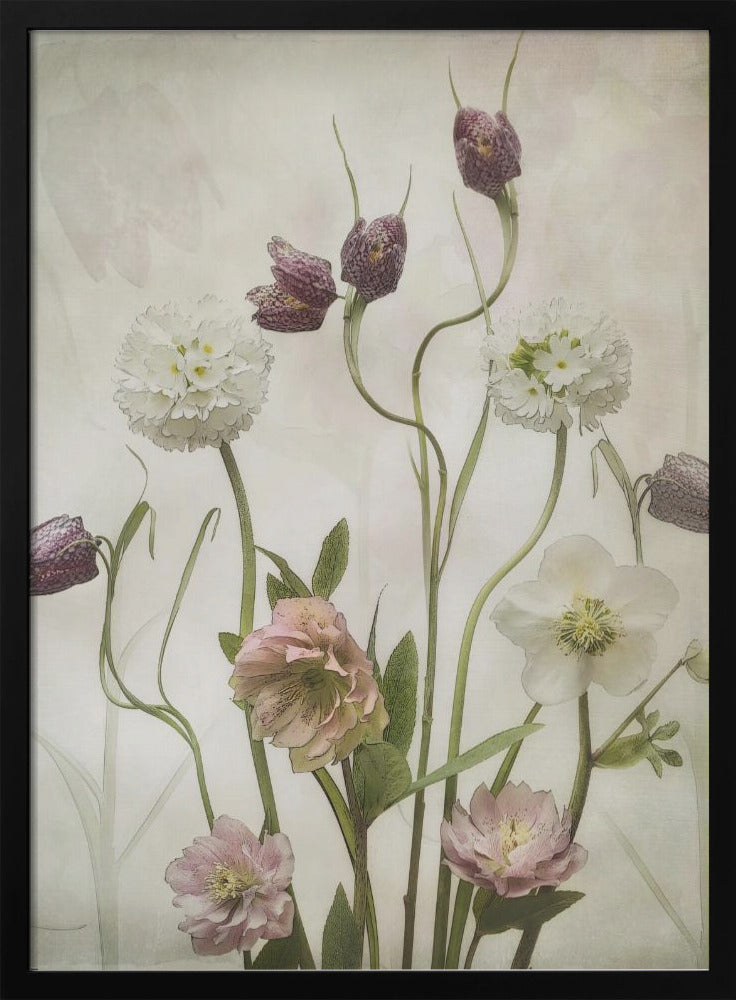 Spring Garden