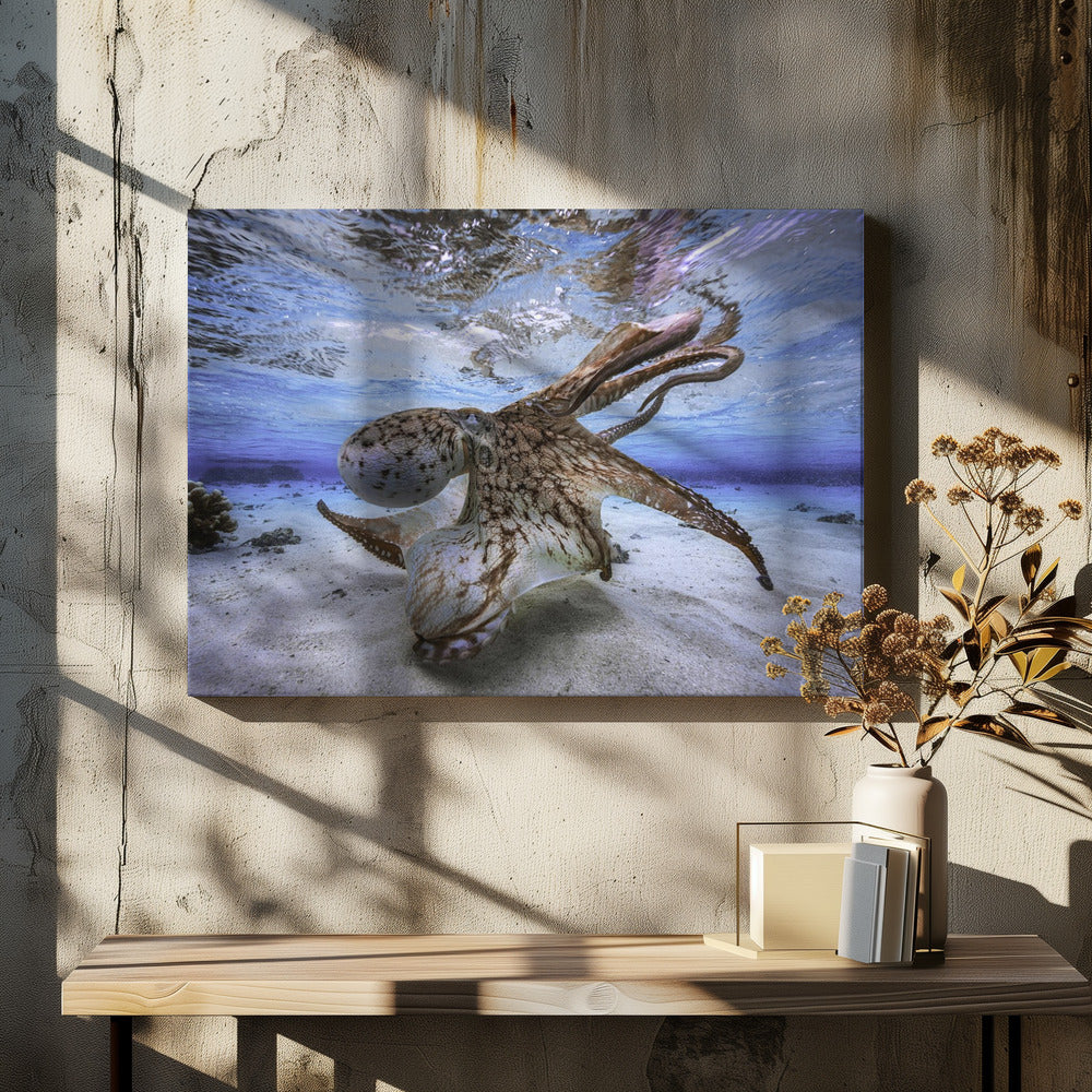 Wall Art Dancing Octopus