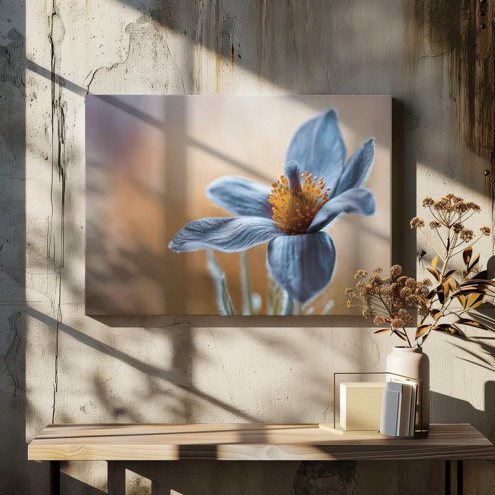Wall art Pasque. Floral