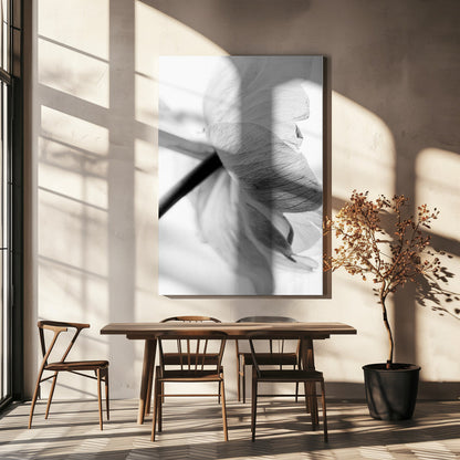 Wall art Blooming Flower Canvas Print