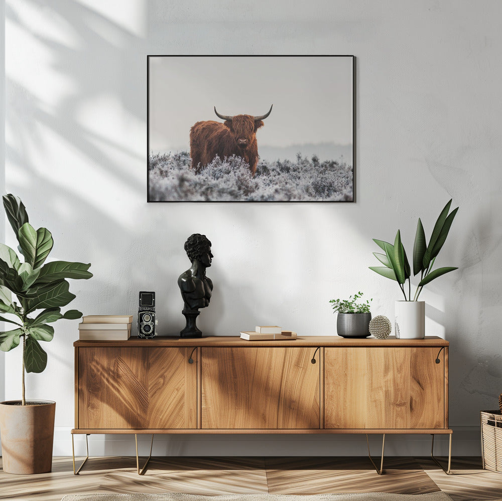 Wall Art Highlander