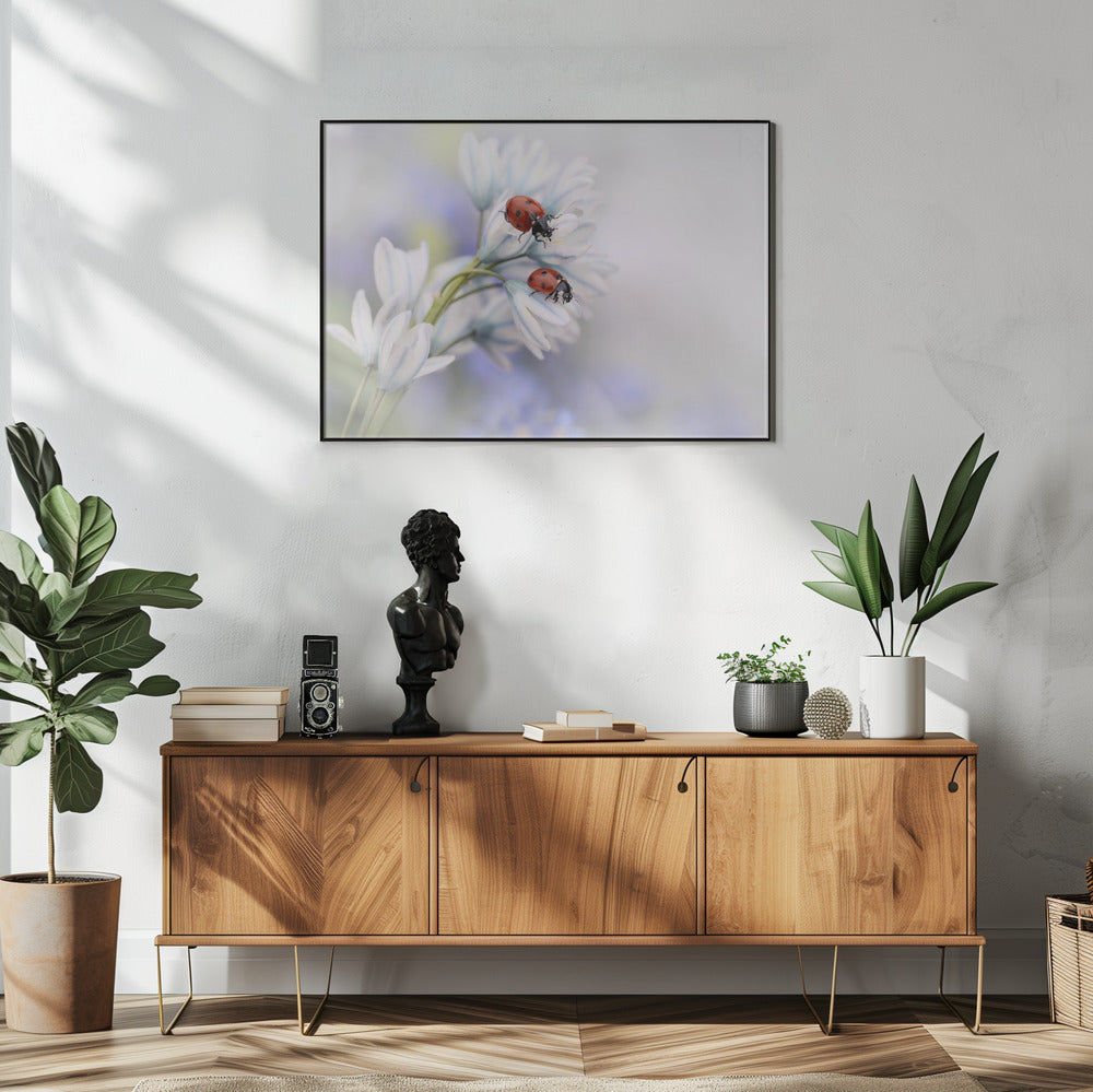 Wall art Ladybirds