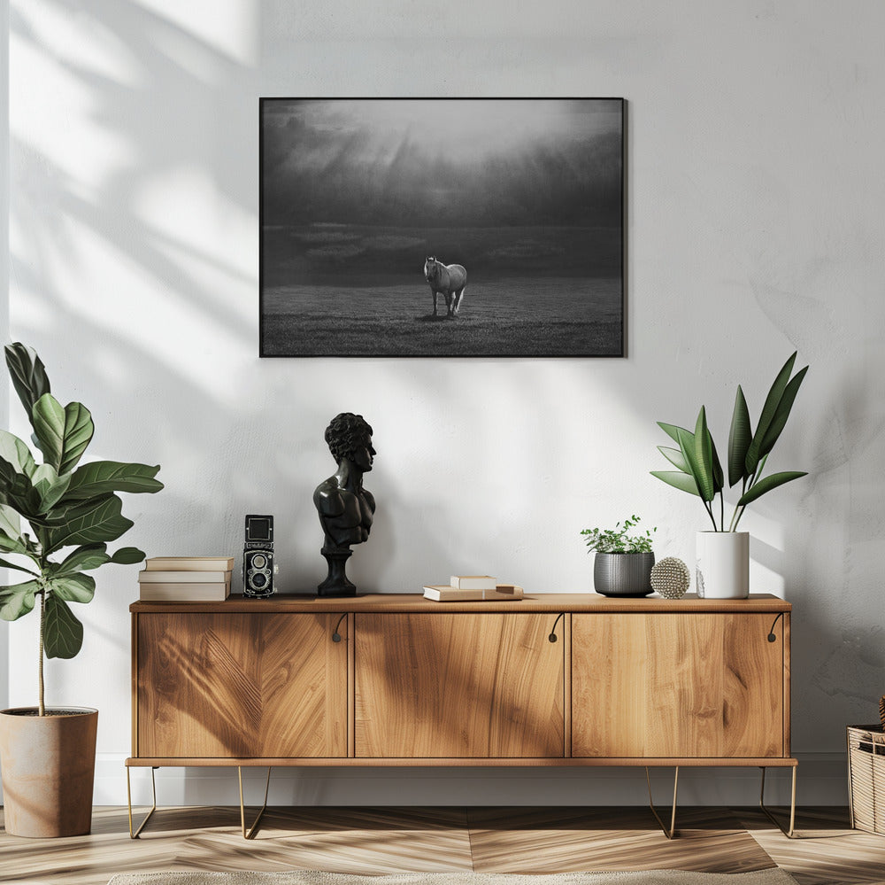 Wall art morning appearance. Hourses