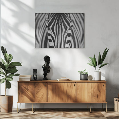 Wall art Zepra