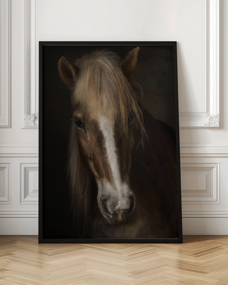 Wall art Sapience