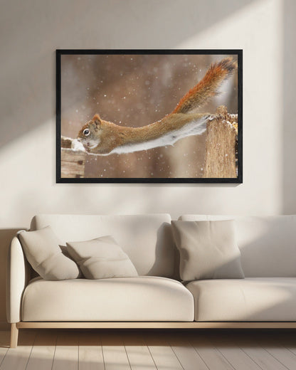 Wall art The Acrobat
