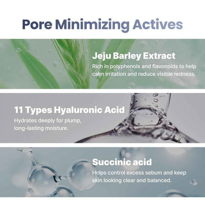 PO:DL Barley Hyaluronic Frozen40 Essence Pads 120g / 70pcs