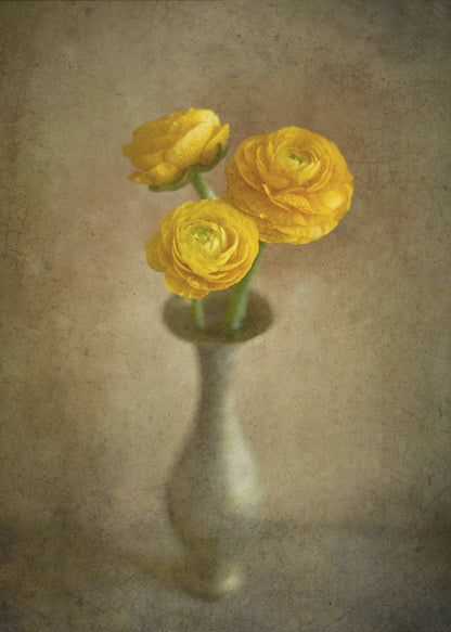 Yellow buttercups