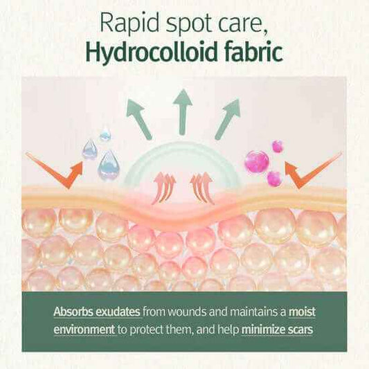 Pyunkang Yul Clear Spot Patch 72pcs