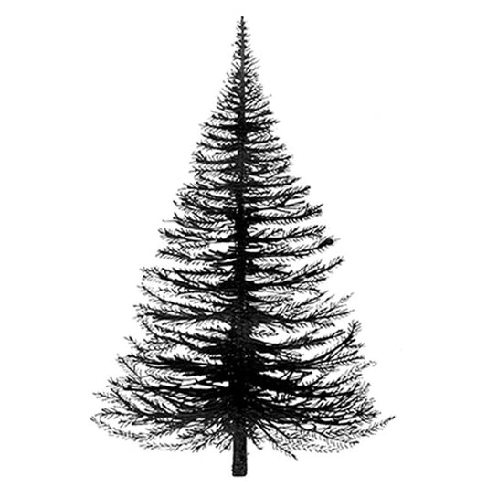 Lavinia Stamp - Fir Tree