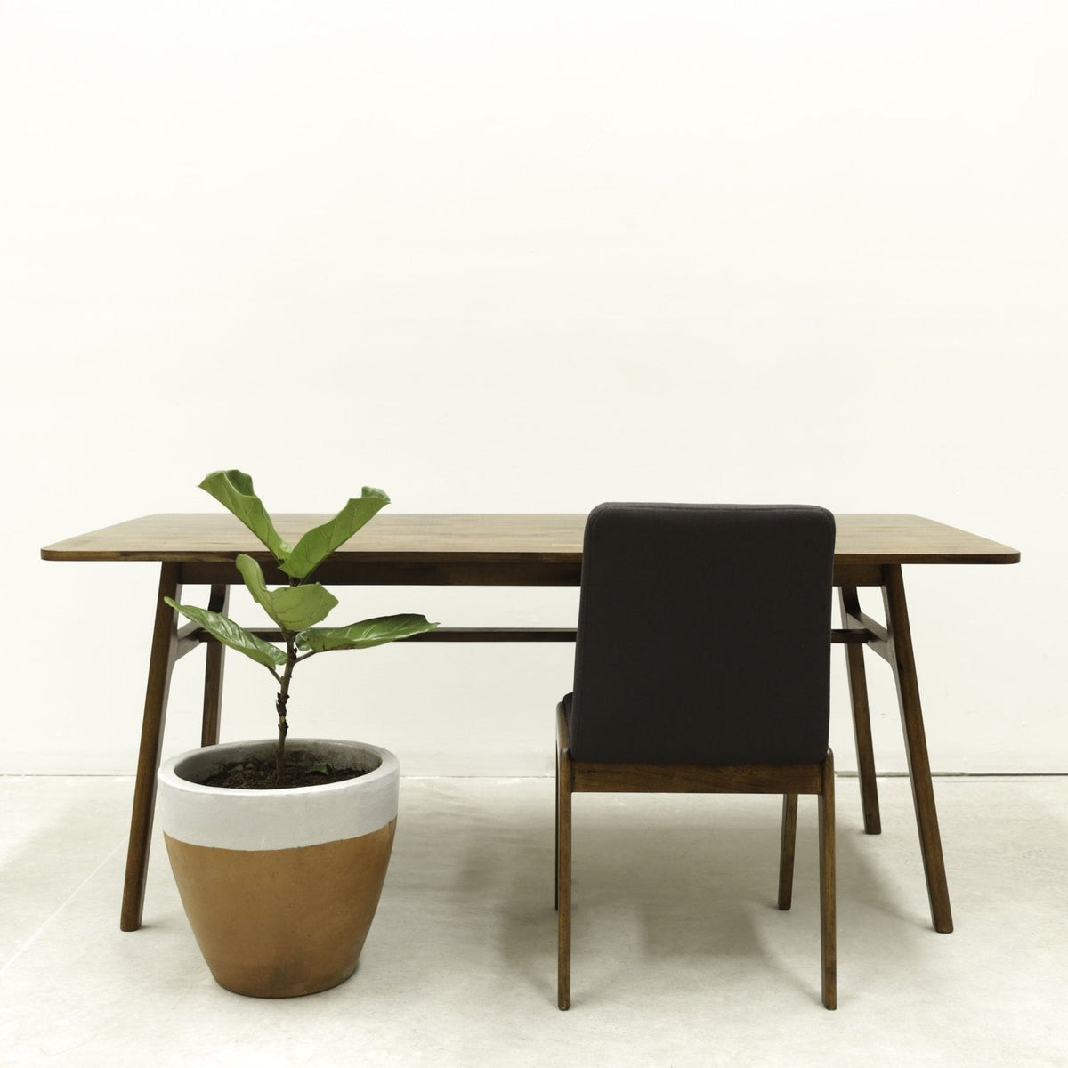 Radley Dining Chair