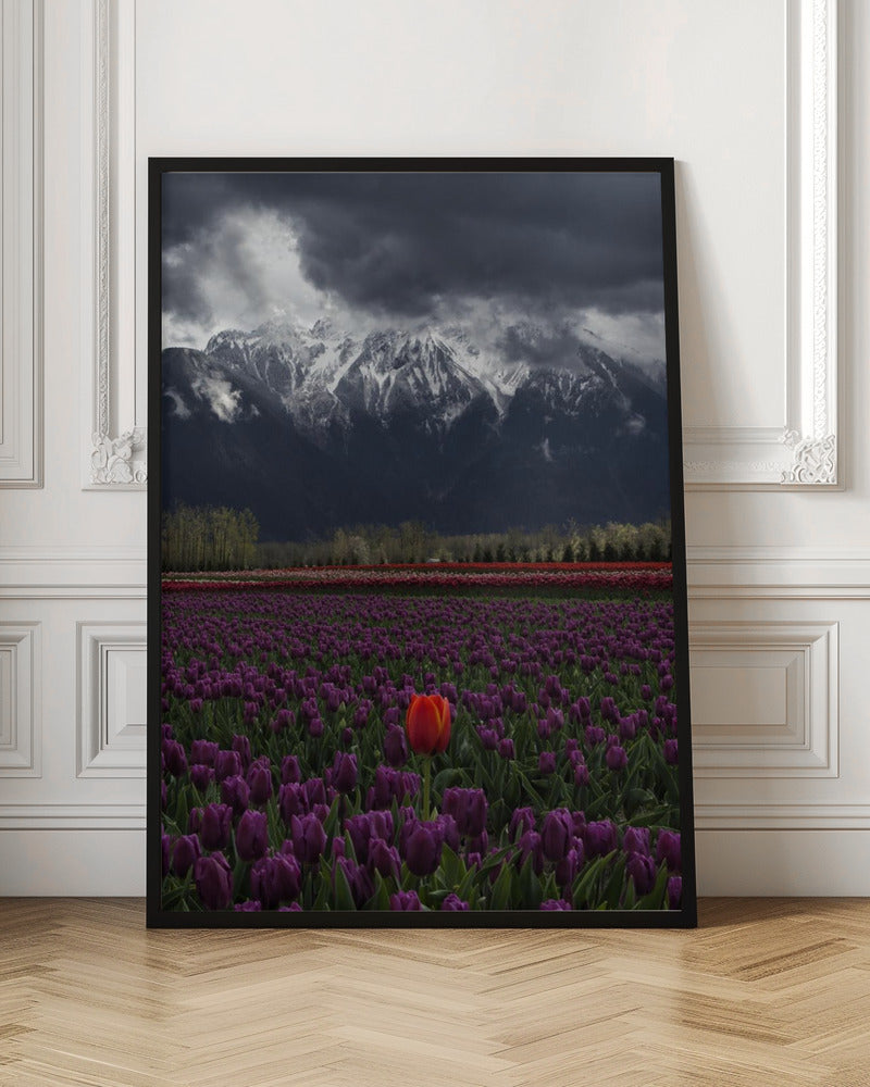 Wall art Tulip in Vancouver, Canada