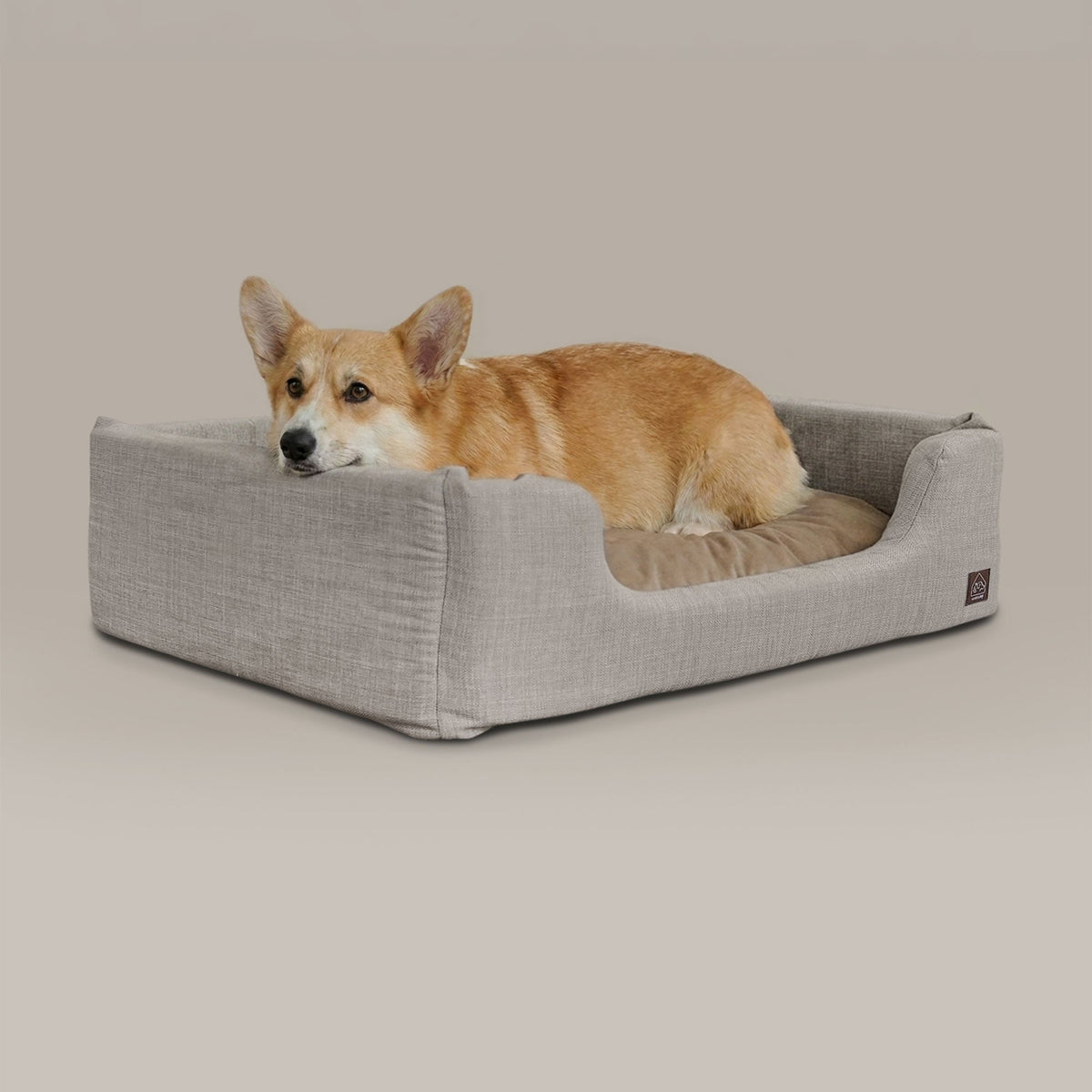 sansa modern pet bed