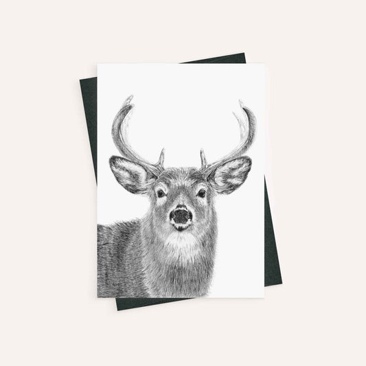 Stag - greeting card